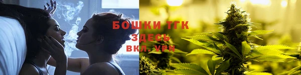 apvp Гусиноозёрск