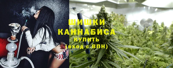 спиды Гусь-Хрустальный