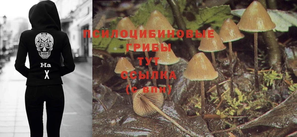Альфа ПВП Гусев