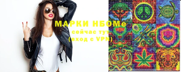 apvp Гусиноозёрск
