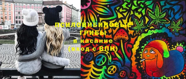 спиды Гусь-Хрустальный