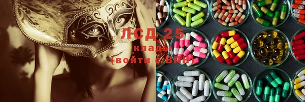 Альфа ПВП Гусев