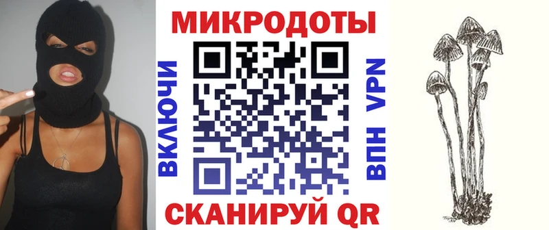 Галлюциногенные грибы прущие грибы  Спас-Клепики 